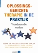 Productafbeelding Oplossingsgerichte therapie in de praktijk 