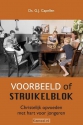 Productafbeelding Voorbeeld of struikelblok