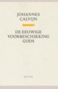 Productafbeelding De eeuwige voorbeschikking Gods