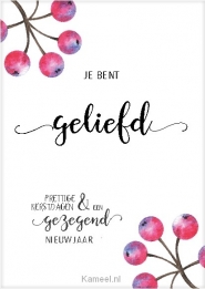 Productafbeelding Kerstkaart je bent geliefd besjes