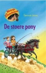 Productafbeelding Manege De Zonnehoeve - De stoere pony